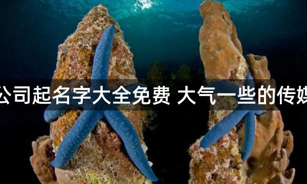 传媒公司起名字大全免费 大气一些的传媒名字