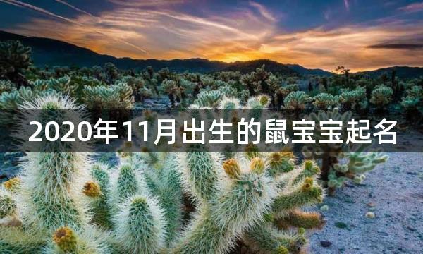 2020年11月出生的鼠宝宝起名