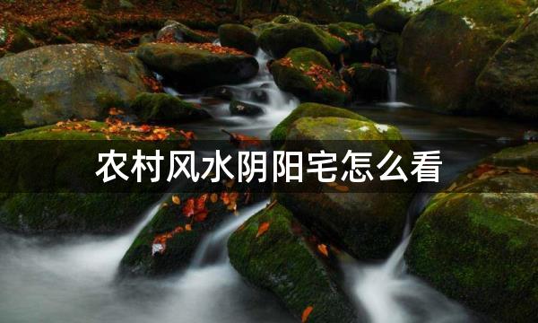 农村风水阴阳宅怎么看