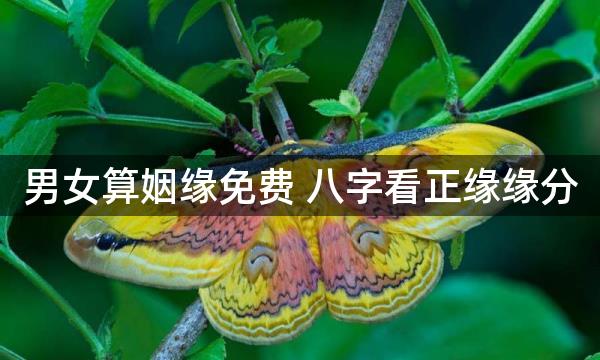 男女算姻缘免费 八字看正缘缘分