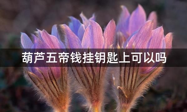 葫芦五帝钱挂钥匙上可以吗