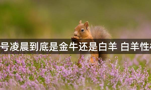 4月19号凌晨到底是金牛还是白羊 白羊性格分析