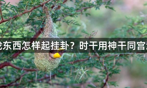 奇门遁甲找东西怎样起挂卦？时干用神干同宫怎么找失物