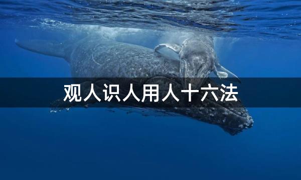 观人识人用人十六法