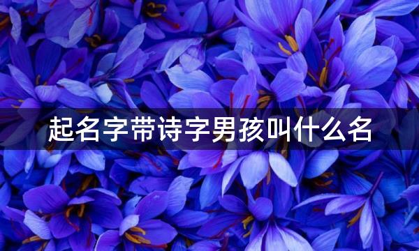 起名字带诗字男孩叫什么名