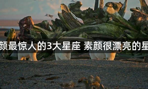 素颜最惊人的3大星座 素颜很漂亮的星座