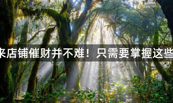 風水知识：原来店铺催财并不难！只需要掌握这些方法就可以了！