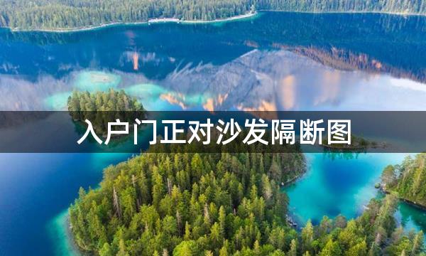 入户门正对沙发隔断图