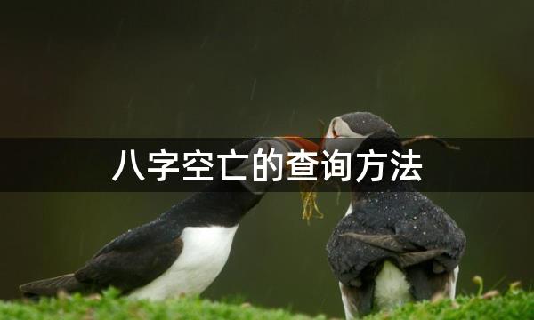 八字空亡的查询方法