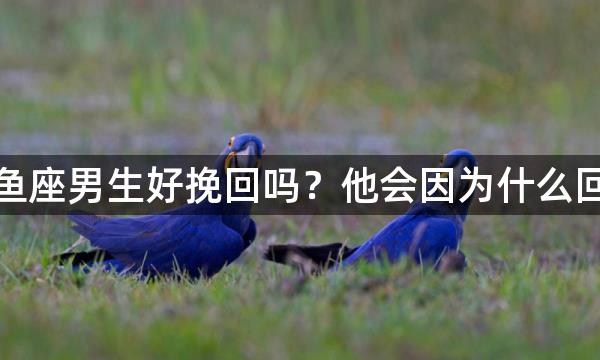 双鱼座男生好挽回吗？他会因为什么回头