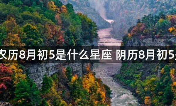 1980年农历8月初5是什么星座 阴历8月初5是啥星座