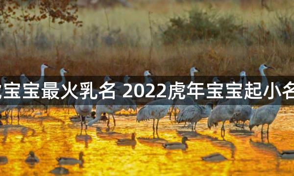 2022虎宝宝最火乳名 2022虎年宝宝起小名宜用字