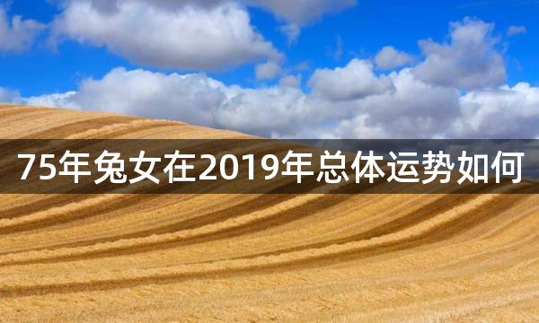 75年兔女在2019年总体运势如何