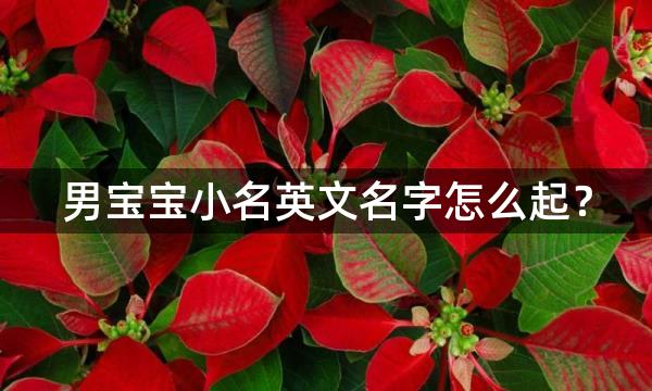 男宝宝小名英文名字怎么起？