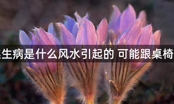 员工接连生病是什么风水引起的 可能跟桌椅布置有关