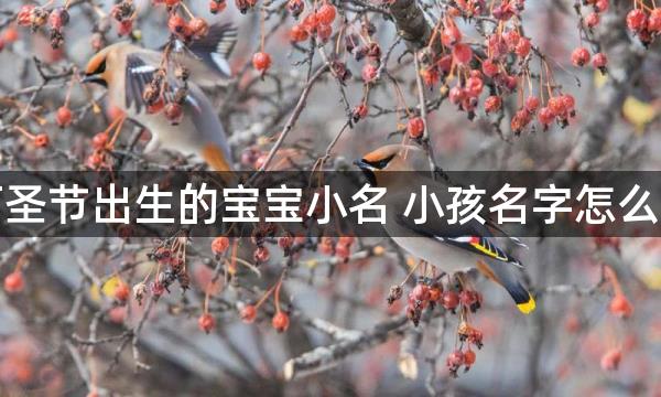 万圣节出生的宝宝小名 小孩名字怎么取