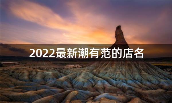 2022最新潮有范的店名