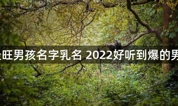 2022虎年最旺男孩名字乳名 2022好听到爆的男孩乳名属虎