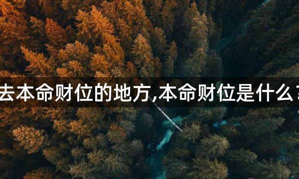 去本命财位的地方,本命财位是什么？