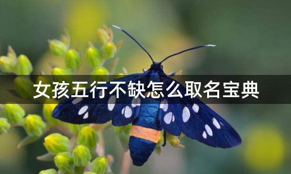 女孩五行不缺怎么取名宝典