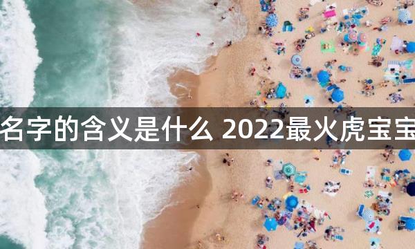 兜兜名字的含义是什么 2022最火虎宝宝小名