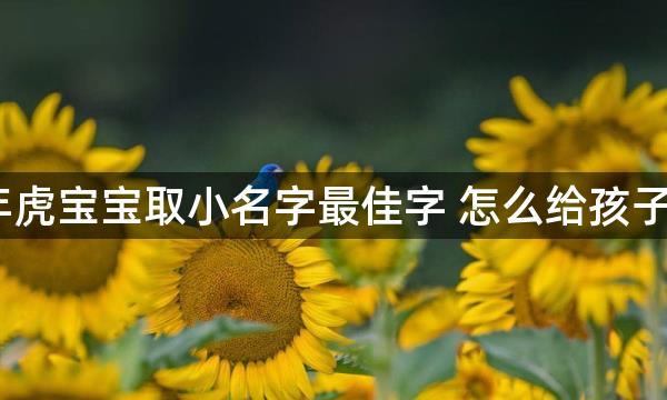 2022年虎宝宝取小名字最佳字 怎么给孩子起名字