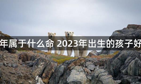 癸卯年属于什么命 2023年出生的孩子好不好