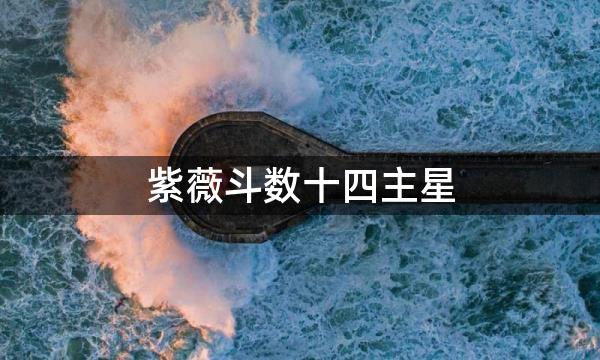 紫薇斗数十四主星