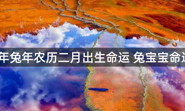 2023年兔年农历二月出生命运 兔宝宝命运解析