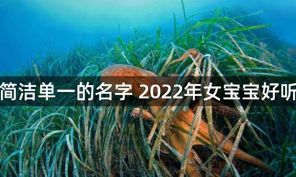 女孩简洁单一的名字 2022年女宝宝好听名字