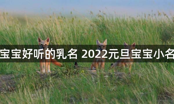 元旦宝宝好听的乳名 2022元旦宝宝小名分享