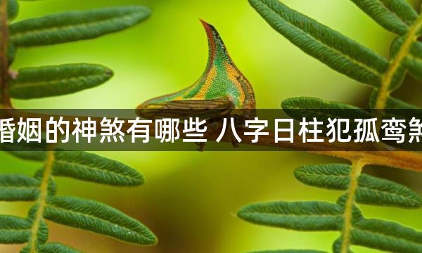 影响婚姻的神煞有哪些 八字日柱犯孤鸾煞的人