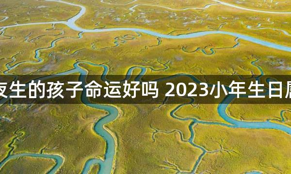 小年夜生的孩子命运好吗 2023小年生日属什么