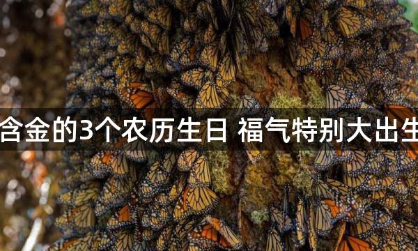 命里含金的3个农历生日 福气特别大出生吉日