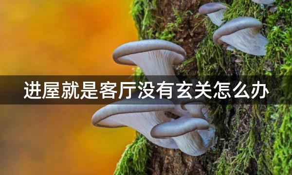 进屋就是客厅没有玄关怎么办