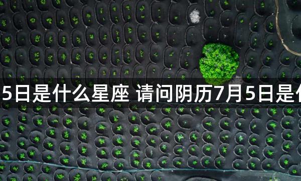 阴历7月5日是什么星座 请问阴历7月5日是什么星座