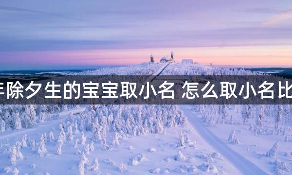 2021年除夕生的宝宝取小名 怎么取小名比较好听