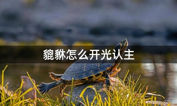 貔貅怎么开光认主