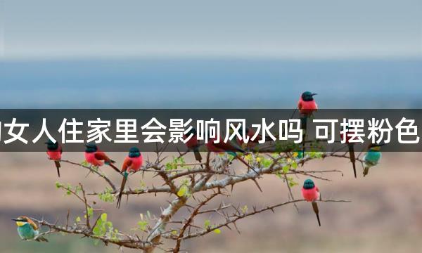 让离婚的女人住家里会影响风水吗 可摆粉色水晶旺运