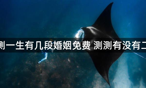 八字测一生有几段婚姻免费 测测有没有二婚命