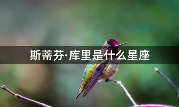 斯蒂芬·库里是什么星座