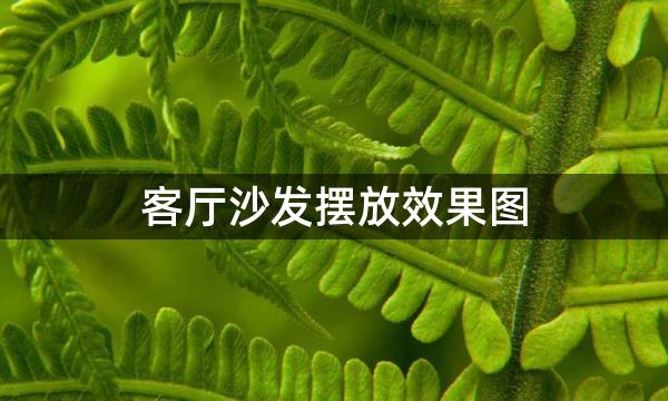 客厅沙发摆放效果图