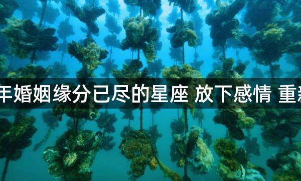 2022年婚姻缘分已尽的星座 放下感情 重新开始