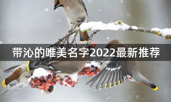 带沁的唯美名字2022最新推荐