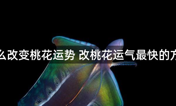 怎么改变桃花运势 改桃花运气最快的方法