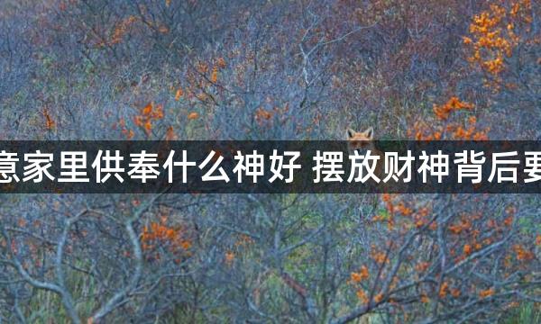 做生意家里供奉什么神好 摆放财神背后要靠实