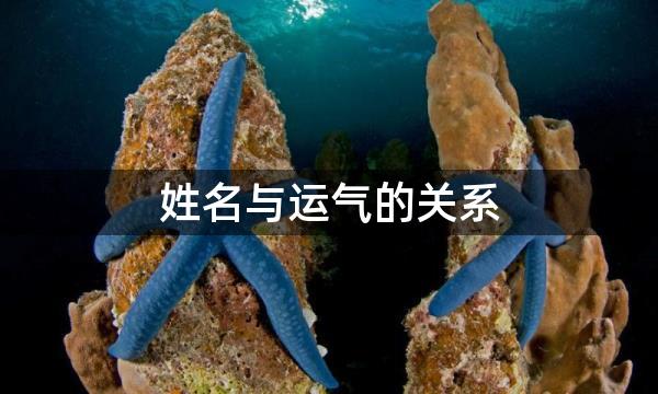 姓名与运气的关系