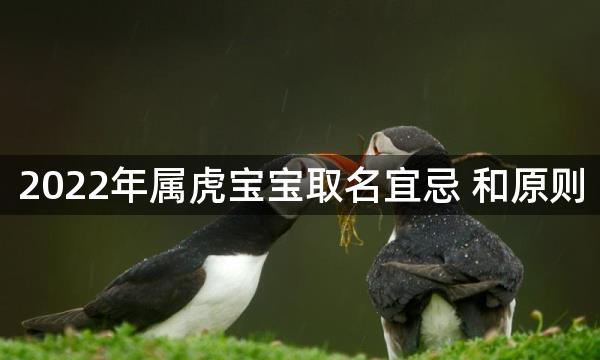 2022年属虎宝宝取名宜忌 和原则