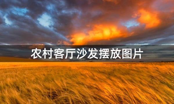 农村客厅沙发摆放图片