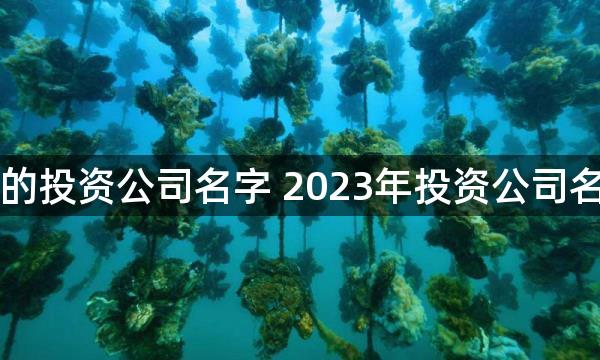 寓意好的投资公司名字 2023年投资公司名字免费